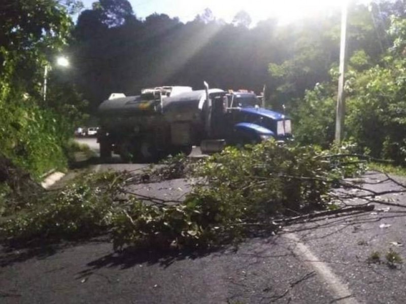 Habitantes bloquean carretera en Chiapas