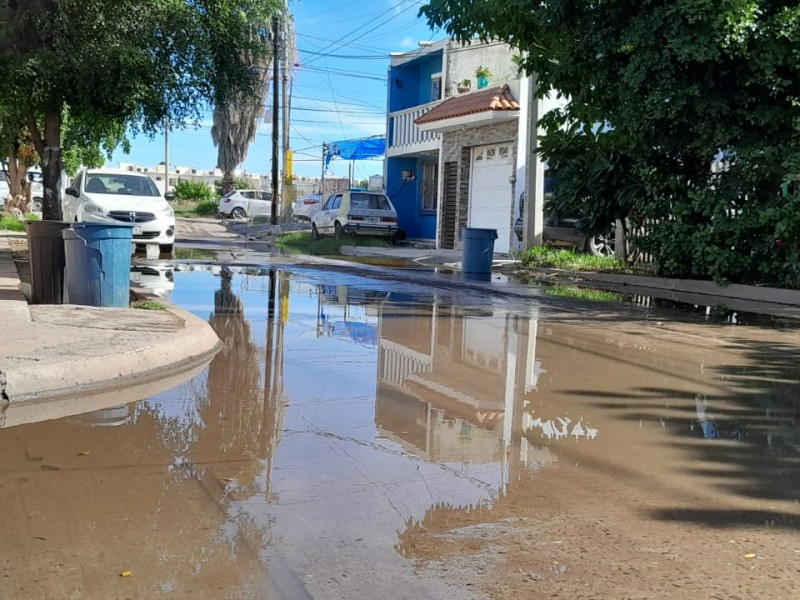 Habitantes de Infonavit Macapule piden solución permanente a drenajes colapsados