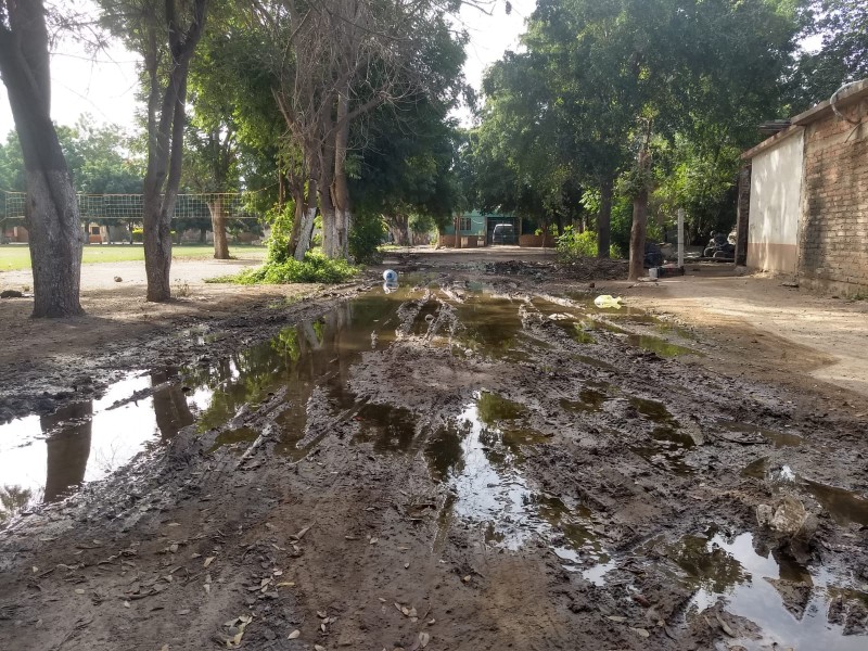 Habitantes de la 17 de Mayo viven entre aguas negras