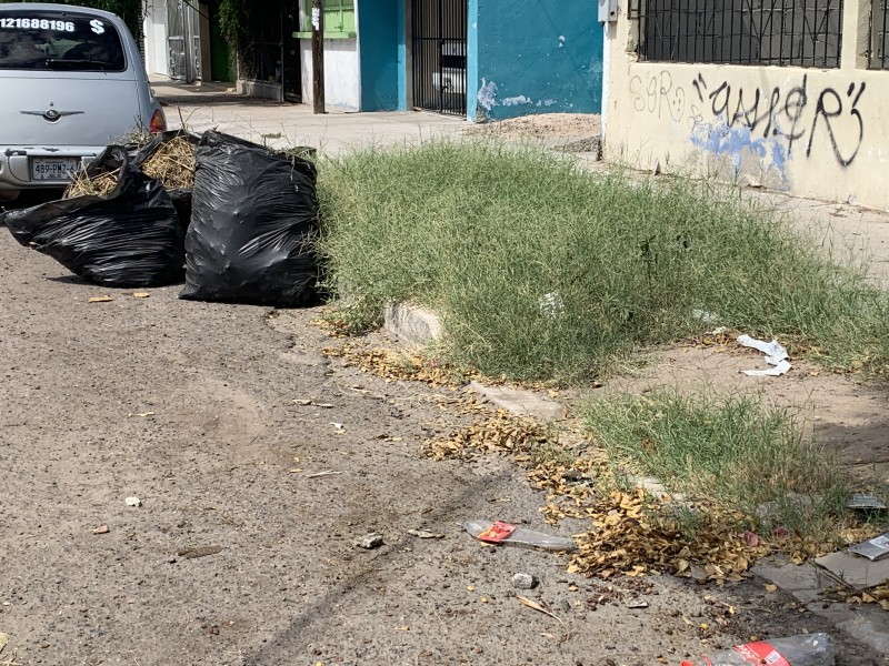 Habitantes de la colonia 8 de octubre denuncian basura