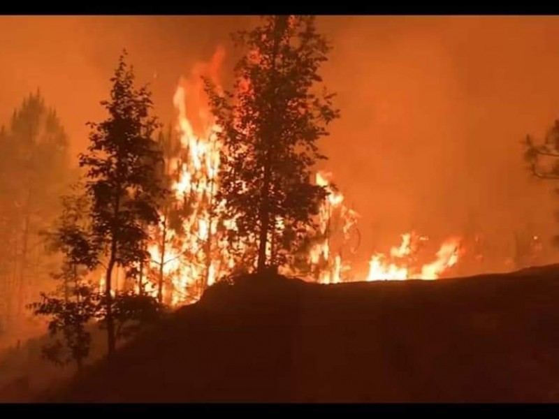 Se desata incendio forestal en La Yesca, habitantes piden ayuda