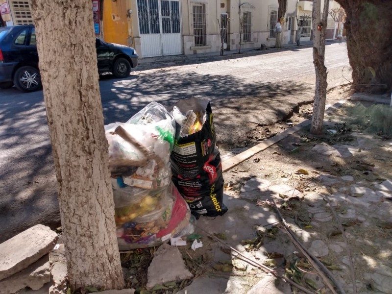 Habitantes de Lerdo viven entre la inmundicia