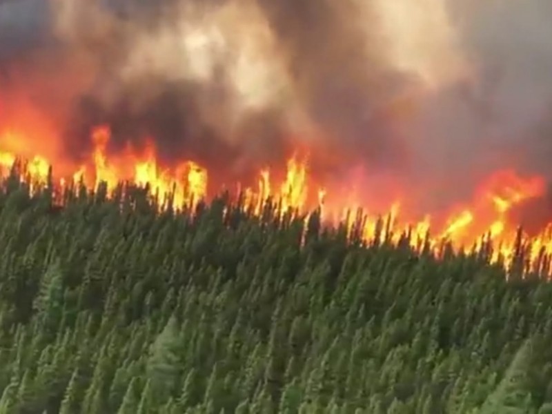 Habitantes de Toronto obligados a encerrarse por humo de incendios