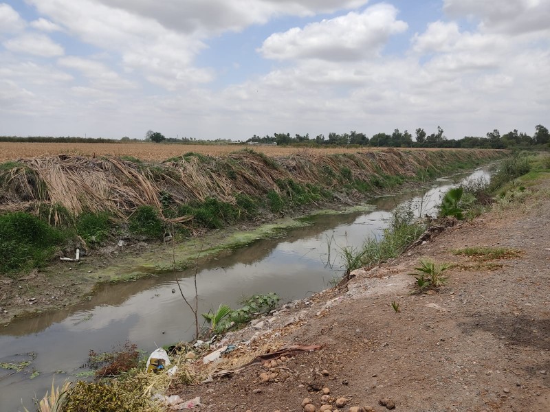 Habitantes del Burrión, demandan limpieza de drenes