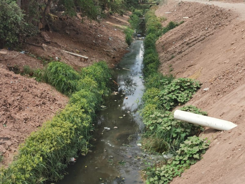 Habitantes del Campo 35 y La Arrocera piden desazolven dren