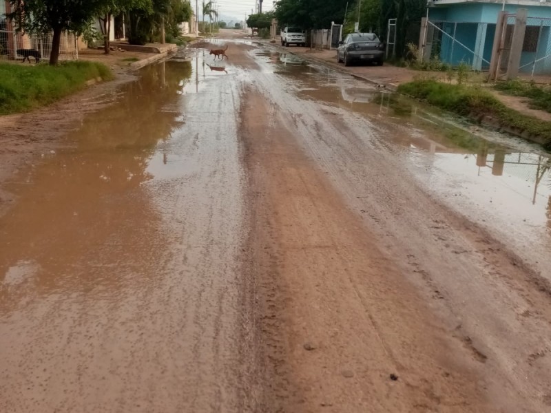 Habitantes del Carrizo viven entre la peste por aguas negras