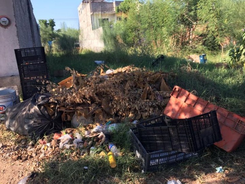 Habitantes del sector San Rafael piden atención a solares baldíos