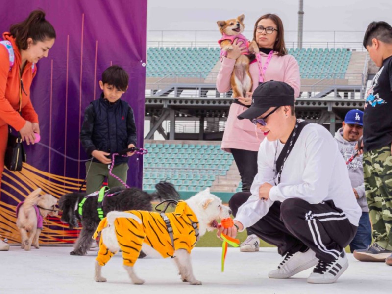 Habrá concurso de disfraces de mascotas en Pet Fest 2024