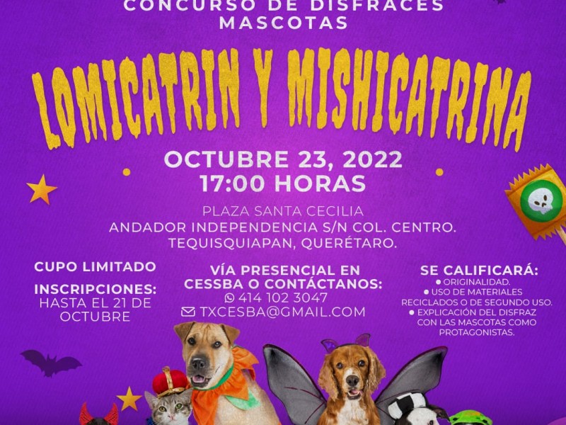 Habrá concurso de disfraces para mascotas en Tequisquiapan
