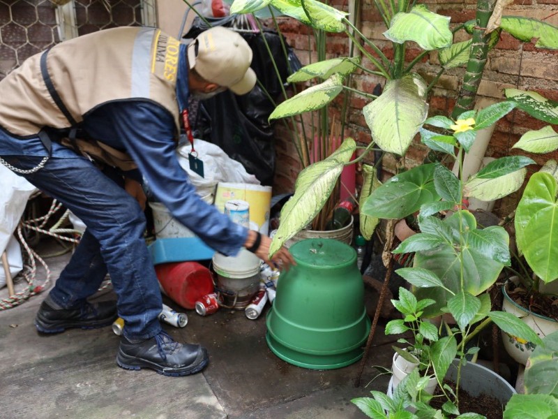 Habrá control larvario en colonias con mayor riesgo de dengue