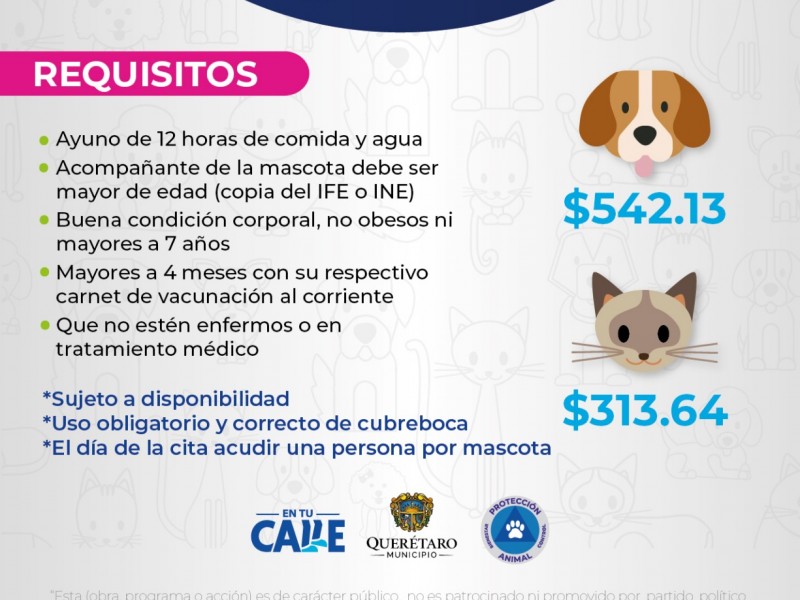 Habrá descuento para esterilización de mascotas