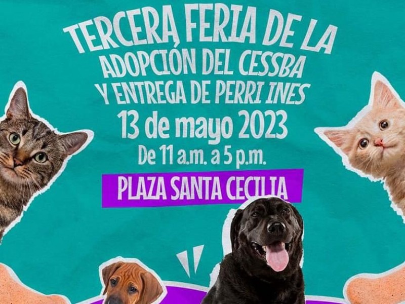 Habrá Feria de Adopción en Tequisquiapan