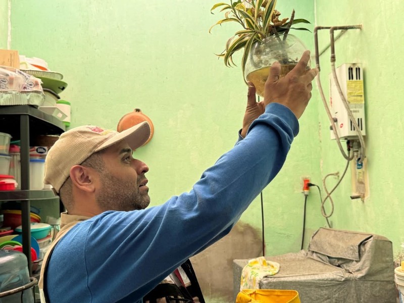 Habrá jornada intensiva para eliminar criaderos de mosquito en seis municipios