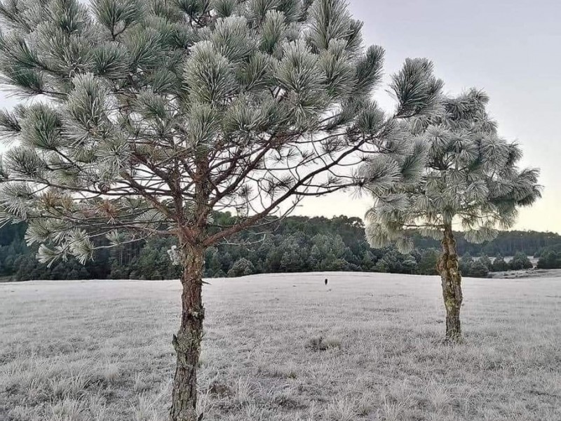 Habrán bajas temperaturas en sierras del estado de Puebla