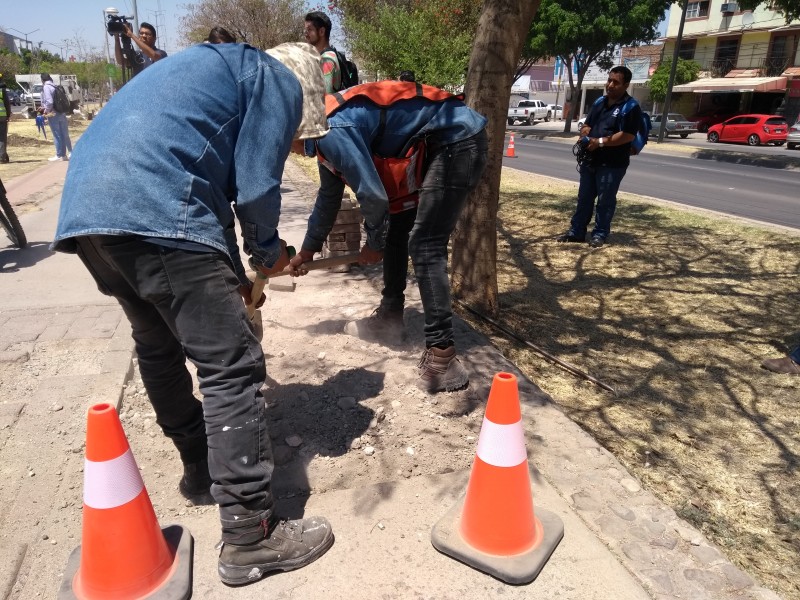 Hacen reparación de 38 kilómetros de ciclovías