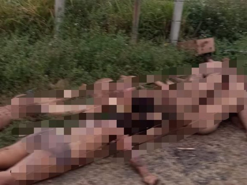 Hallan 9 cuerpos con huellas de tortura en Veracruz