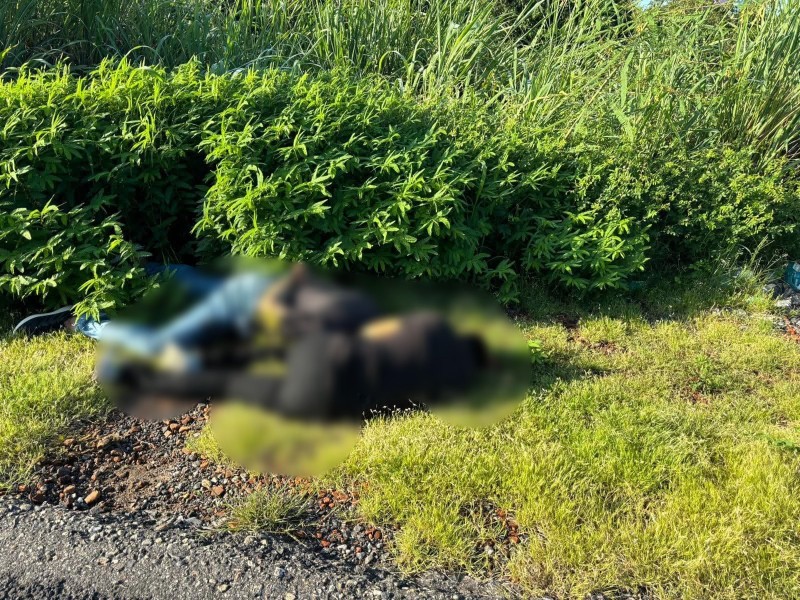 Hallan a dos hombres sin vida en El Papayo, Coyuca de Benítez