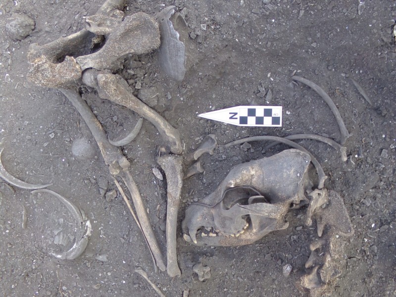 Hallan arqueólogos 16 entierros de más de 5 mil años