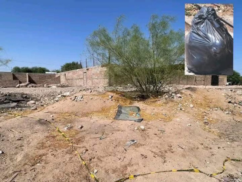 Hallan bolsas con restos humanos en La Grullita; víctima ya fue identificada
