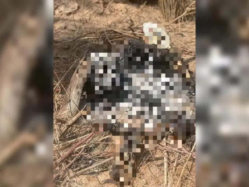 Hallan cuerpo calcinado en Tlahuapan, Fiscalía busca identificar víctima
