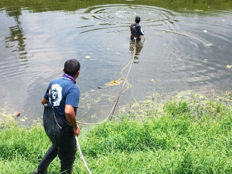 Hallan cuerpo de hombre arrastrado por la corriente en Tlajomulco