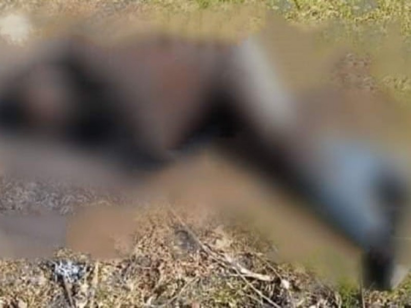 Hallan cuerpo de mujer en terreno baldío en Acajete