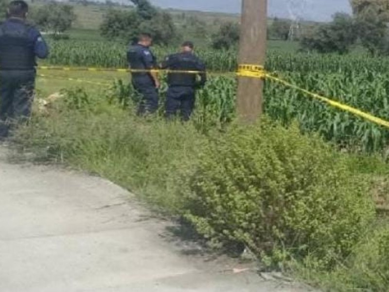 Hallan cuerpo de mujer en terrenos de Palmar de Bravo