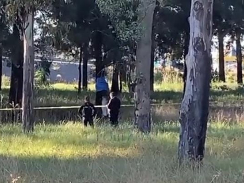 Hallan cuerpo en árbol cerca del puente de la María