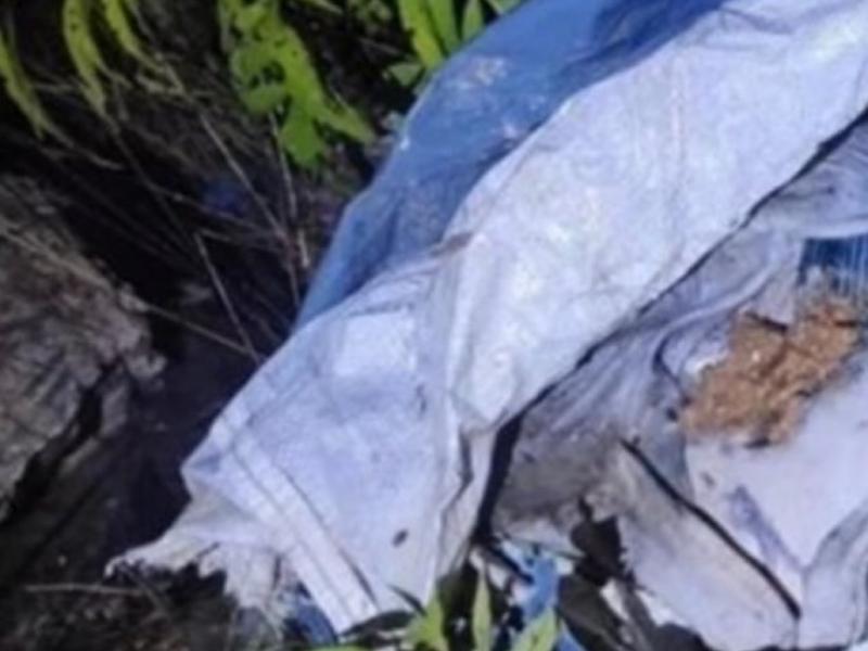 Hallan cuerpo encobijado en Jardines de la Montaña
