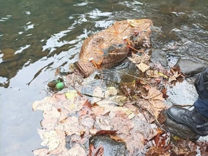 Hallan cuerpo flotando en río de Hueytamalco