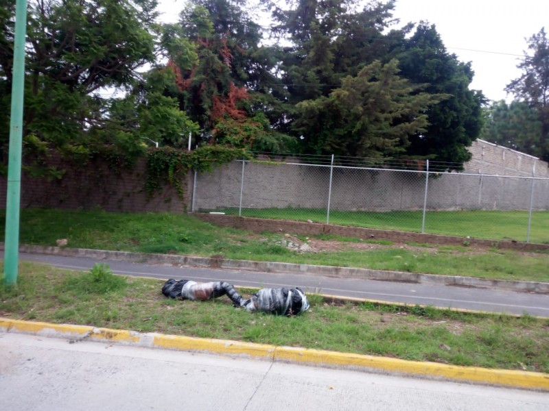 Hallan embolsados en La Primavera