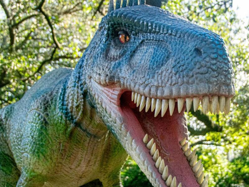Hallan en Michoacán huellas de dinosaurios de hace 65 millones de años