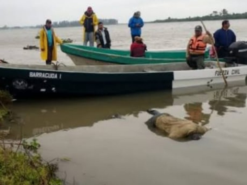 Pescadores hallan hombre muerto en Rio Misantla