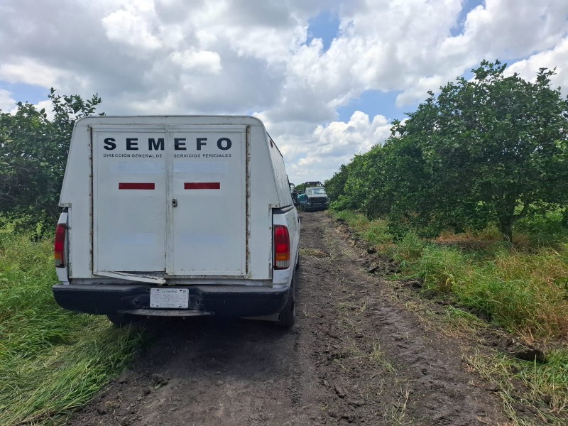 Hallan mujer sin vida entre naranjales de Álamo