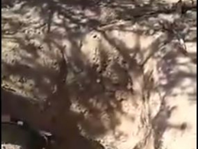 Hallan nuevas fosas clandestinas en Sonora