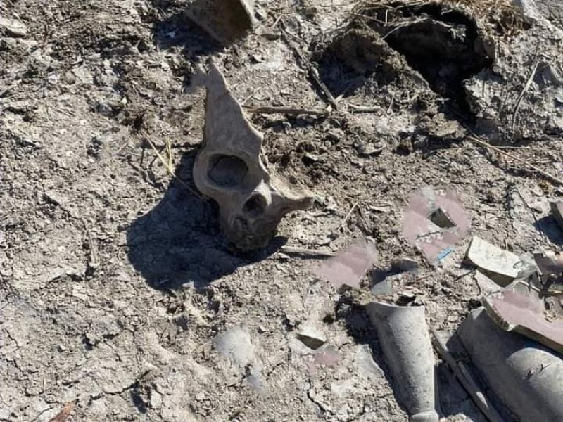 Hallan restos óseos en canal de Valsequillo en Tecamachalco