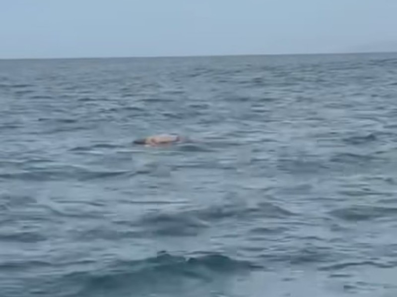 Hallan sin vida a turista canadiense desaparecido en Puerto Escondido
