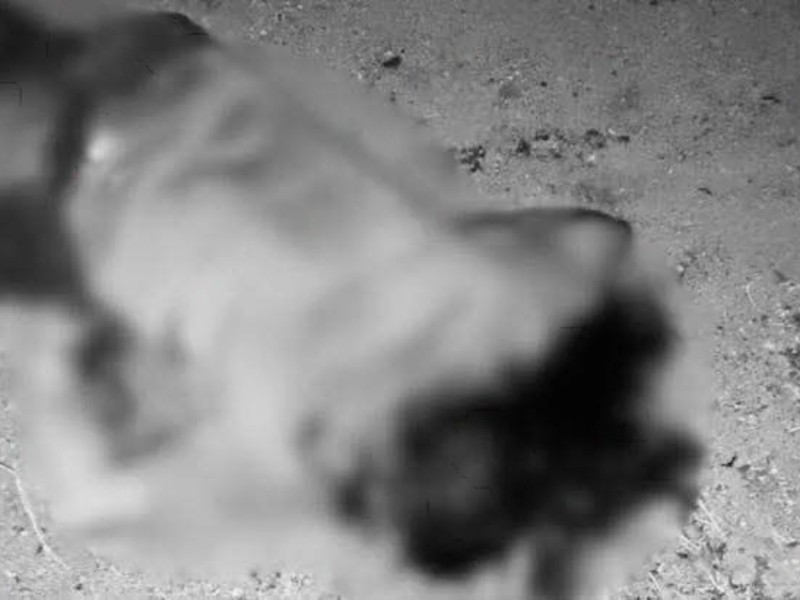 Hallan un hombre asesinado con arma blanca, San Blas Atempa