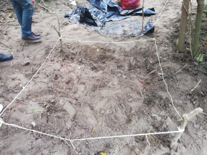 Hallazgo de fosas clandestinas ocurrió en Arbolillo