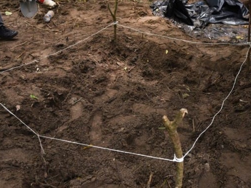 Hallazgo de fosas clandestinas, resultado del trabajo de la ciudadanía