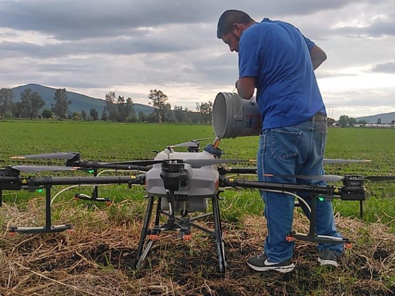 Harán análisis y diagnóstico para mejorar calidad agroindustrial