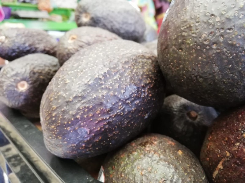 Hasta 100 pesos por el kilo de aguacate