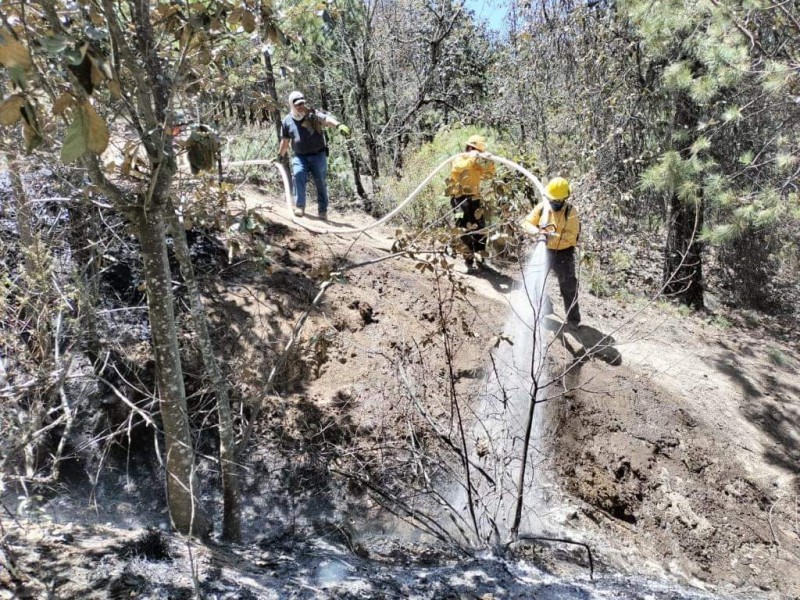 Hasta 2 mil 400 hectáreas resultaron afectadas por incendios