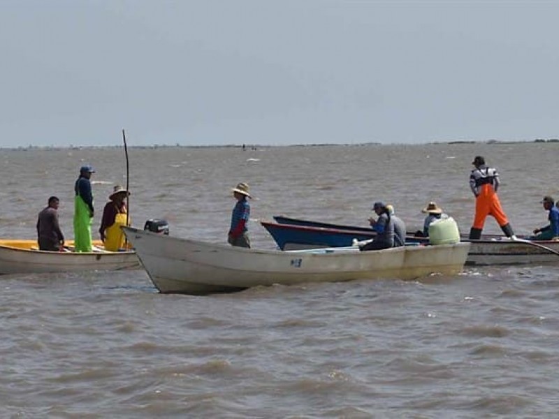 Hasta 2 mil pescadores sin trabajar por amenaza de tiburón