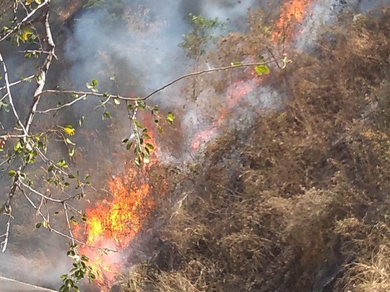 Hasta 2mdp la multa por provocar incendios forestales