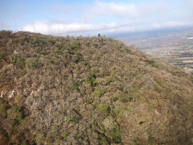 Hasta 30 años llevará la recuperación del Cerro Mactumatzá incendiado