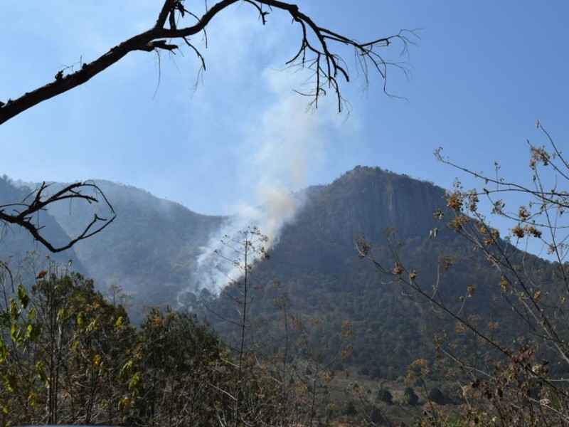 Hasta ahora, 600 hectáreas dañadas por incendio en Tuxpan
