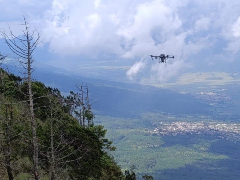 Hasta en año y medio resultados de dispersión de semilla con drones