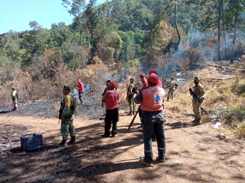 Hasta este miércoles, Guerrero registra 18 incendios forestales activos