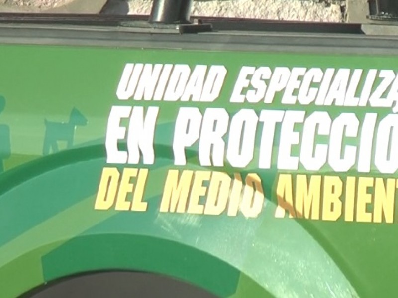 Hasta la fecha Policía Ambiental a atendido 1,004 reportes